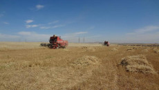 Altı yıldır kapalı<br>Şingal Silosu Çiftçinin Tahıllarını aldı