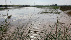 السيول تغمر محاصيل 120 مزارعاً في ناحية آلتون كوبري