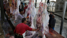 Kerkük'te günde 18 ton et tüketiliyor