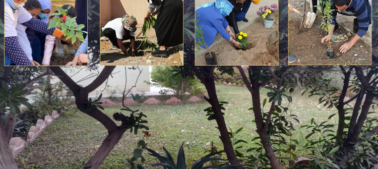 Kirkuk: joint campaign to boost greenery in schools