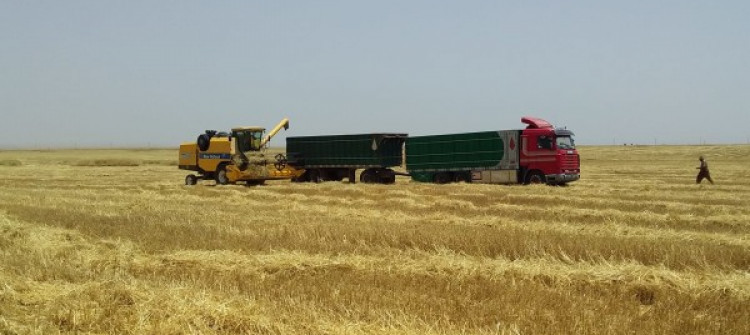 Iraq's agriculture capacity reduced by 40% due to IS war legacy