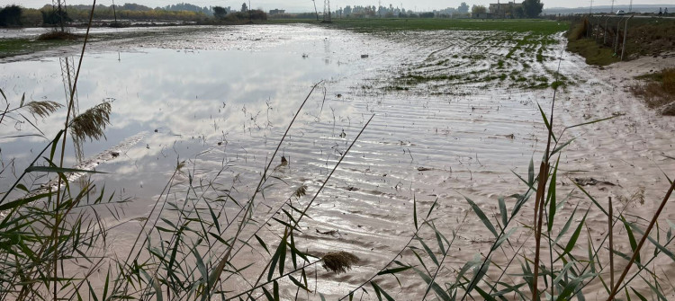 السيول تغمر محاصيل 120 مزارعاً في ناحية آلتون كوبري