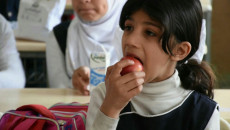 School meals program to be launched in Ninewa starting from this November