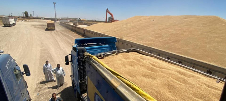 Federal government purchases grain products of Kirkuk farmers