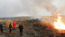 مصرع سبعة اشخاص في حرائق حقول الحنطة بمحافظة نينوى