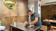 Muhannad: Veterinarian volunteered to save stray animals