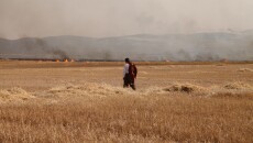 8 Kurdish Farmers of Daquq Arrested by Iraqi Army Released Shortly