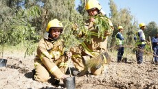 Mosul Plants Two Million Trees<br>Our Ambition is to Plant Four Million Trees, Nineveh Provincial Council Head