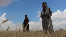 Khanaqin farmers: obstacles by government and fears of drought