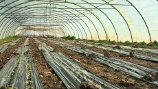 Greenhouse Waste: Disaster Threatens Environment, Food security in Garmian