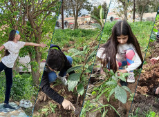 Suli Yoga House: Raising Children in Love with Nature