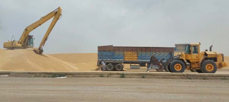 مزارعو مخمور يشتكون<br> الإجراءات المشددة للحكومة العراقية تمنع وصول الأسمدة والبذور للقضاء