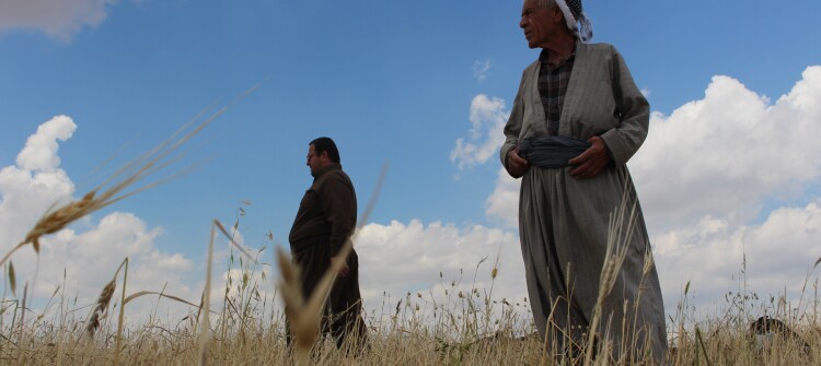 Khanaqin farmers: obstacles by government and fears of drought