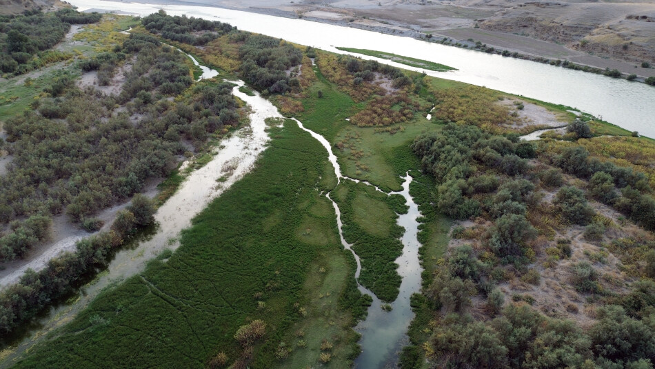 Sirwan River Revived, Life Restored to its Banks<br>Activists Save River and Banks from Factories’ Destruction