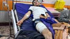 بەرازی داقوق پەلاماردەرن<br>شەش هاوڵاتی لە دوو هەفتەدا بە سەختی برینداربون