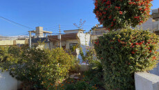 Green Roof: Hard Concrete into Floral Garden