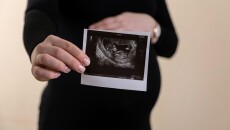 دڵنیابونەوە لە زانیارییەكان:<br>لە دەستدانی هێلكەیەكی گون توانای وەچەخستنەوە لەدەستنادەیت