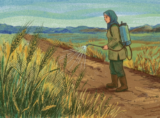 مبيدات محظورة، مهربة ومنتهية الصلاحية<br>مزارعون ومزارعات ضحية الجشع والفساد في ظل رقابة ضعيفة