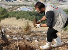 سییەکانی سلێمانی لە بوژانەوەدان