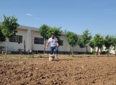 Hajiawa Environmental Ambassador: Plant Trees for Deceased per Age, Newborns