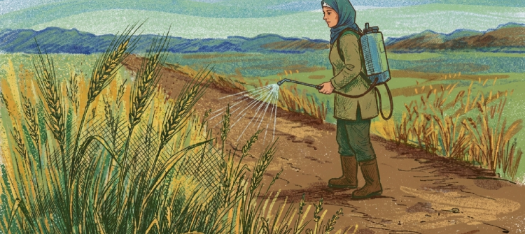 مبيدات محظورة، مهربة ومنتهية الصلاحية<br>مـزارعات ومزارعون ضحية الجشع والفساد في ظل رقابة ضعيفة