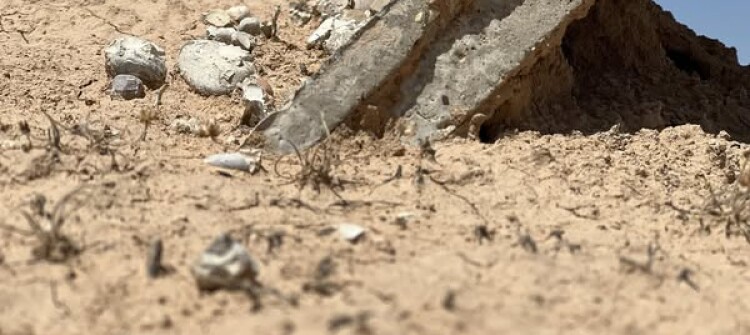 چالاكوانانی بواری جینۆساید دۆزینەوەی "هەزار گۆڕی ئەنفالكراوان" لە كەركوك رادەگەیەنن