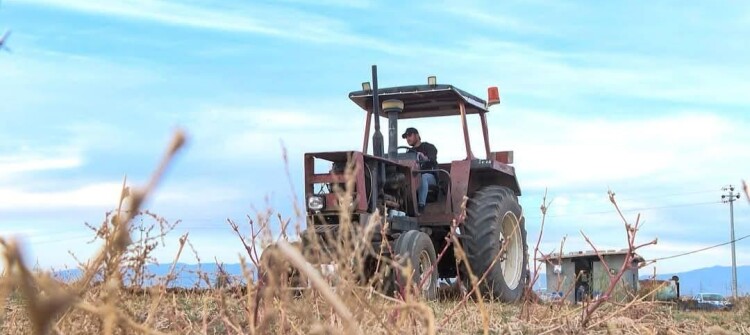 Following Threats to Withdraw<br>Kurds Earn Tuzkhurmatu Agriculture Director Post