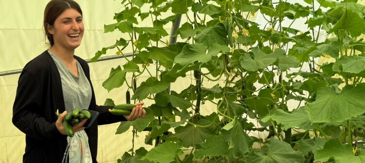 Six Women Realize Three Dreams Through Plastic Greenhouse