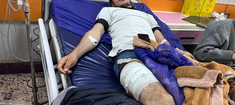 Aggressive Pig Attacks Reported in Daquq<br>Six Residents Seriously Injured Within Two Weeks