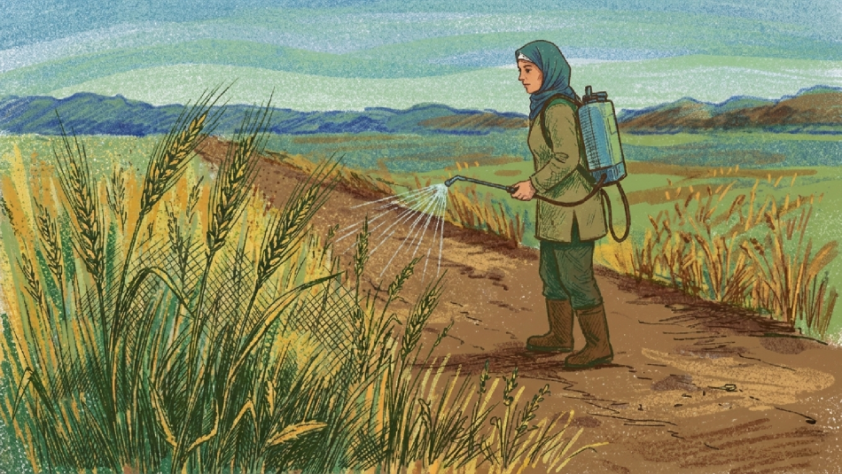 مبيدات محظورة، مهربة ومنتهية الصلاحية<br>مزارعون ومزارعات ضحية الجشع والفساد في ظل رقابة ضعيفة