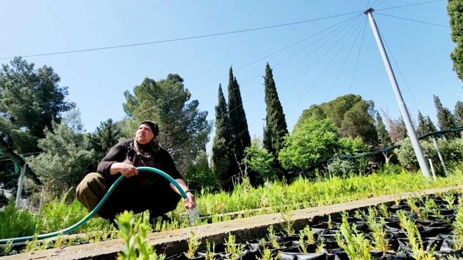 Süleymaniye Fidanlığı zorluklarla mücadele ediyor