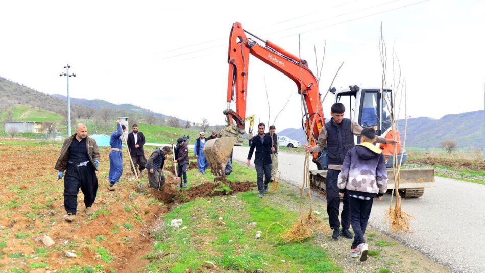 پێنجوێن پڕە لە توو<br>گروپێك 31 هەزار توو لە پێنجوێن دەچێنن