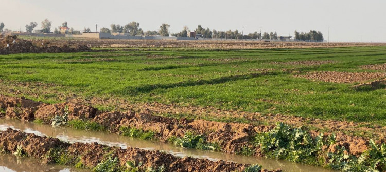 Federal Mahkeme 4000 dönüm tarım arazisini Kürt çiftçilere iade etti