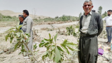 بسبب السيول .. تضرر أكثر من 250 بستان<br>  مزارعو قرية خالوبازياني يطالبون بتعويضات