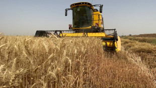 Daquq: machinery used in harvest for the first time