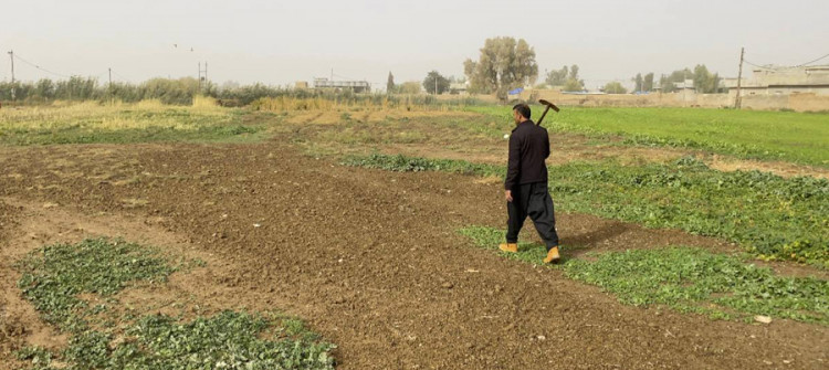 Kirkuk court rescinds agricultural contracts for two Kurdish farmers
