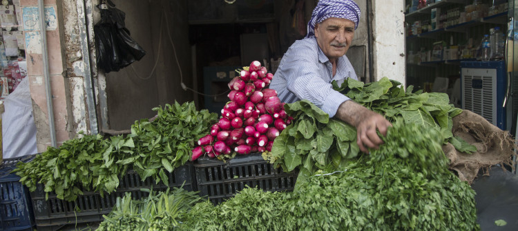 ارتفاع الأسعار الى ضعف ما كانت عليه..<br>العراق يحظر استيراد الخضر والفواكه من تركيا وايران