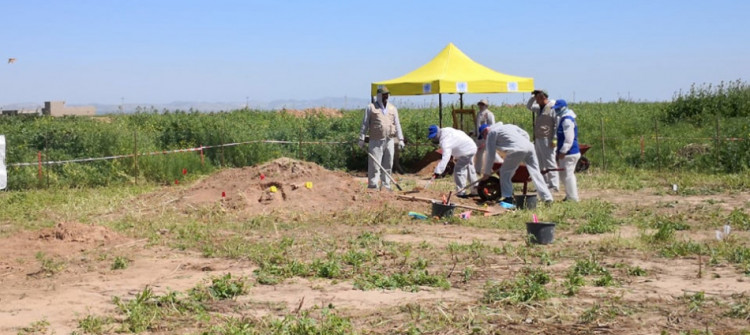 Forensic teams unearth two Ezidi mass graves in Shingal