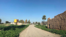 Kerkük'teki tarımsal arazi mülkiyeti anlaşmazlıkları Irak parlamentosuna yükseltilecek