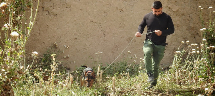 لانه‌ هێشتا نه‌دۆزراوه‌ته‌وه<br>حه‌شدی شه‌عبی به‌ سه‌گی پۆلیسی به‌دوایدا ده‌گه‌ڕێت